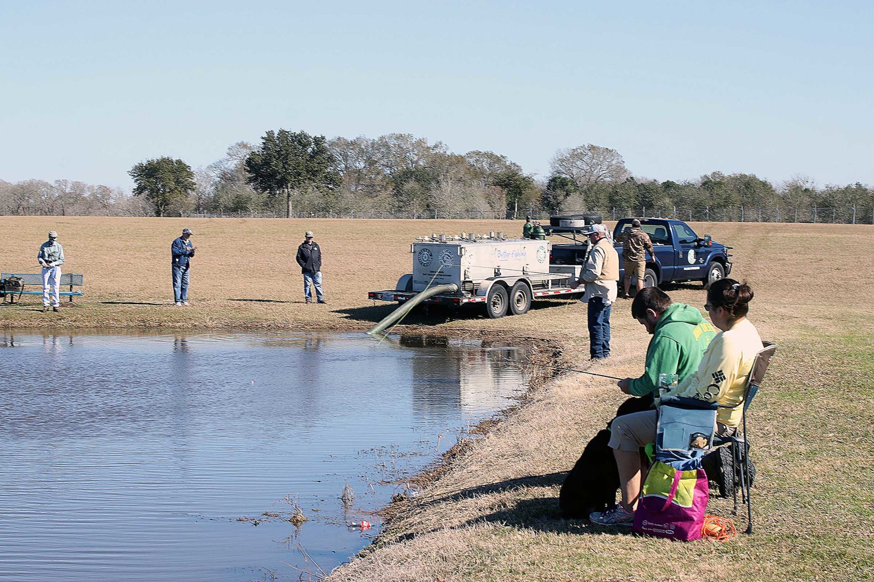 Ponds restocked with trout